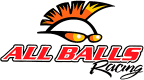 ALL BALLS RACING spares in original quality