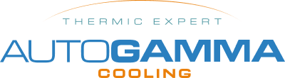 OE número 16361-11010 AUTOGAMMA