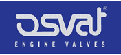originales OSVAT Válvula de admisión FORD S-MAX Tienda online