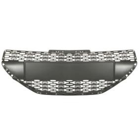 BLIC Kühlergrill 6502-07-5509990P