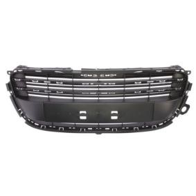 BLIC Grille de calandre 6502-07-5527990Q