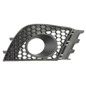 BLIC Ventilatiegrille, bumper 6502-07-6609914P