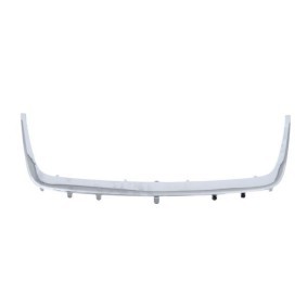 BLIC Trim / Protective Strip, radiator grille 6502-07-6825993P