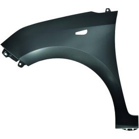 6853107 DIEDERICHS Fender for HYUNDAI GETZ