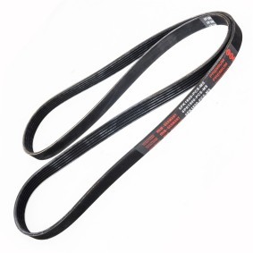 MASTER-SPORT Multireim 6PK1800-PCS-MS