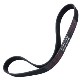 MASTER-SPORT Keilrippenriemen 6PK950-PCS-MS