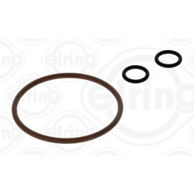 ELRING Reparatieset, brandstofpomp 793.420