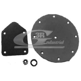 3RG Membrana, bomba de vacío 80003