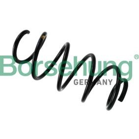 Borsehung Fahrwerksfeder Vorderachse B12621