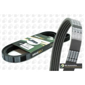 BGA Cilinderkopbouten BK2330