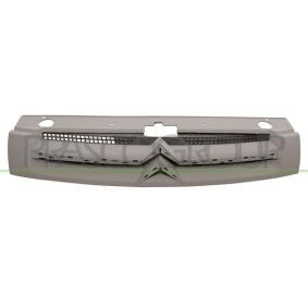 PRASCO Radiatorgitter CI9172011