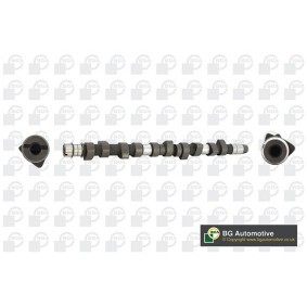 BGA Kamaksel CS3381