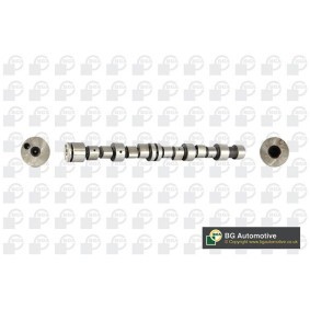 BGA Camshaft CS6387