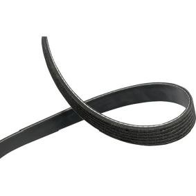 KAVO PARTS Multiriem DMV-6534