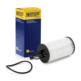 Spletna trgovina z HENGST FILTER Oljni filter E129H D222