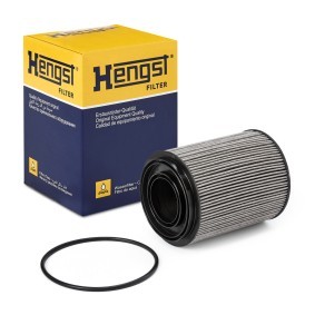 Купить HENGST FILTER Фильтр для охлаждающей жидкости E510WF D189