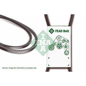 INA V-Belt FB 10X1000