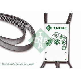 INA Multiriem FB 6PK800