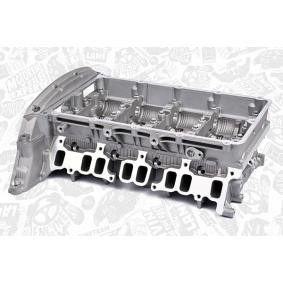 originalni Fiat DUCATO ET ENGINETEAM Glava valja (cilindra motorja) HL0108