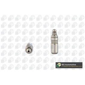 Spletna trgovina z BGA Drocnik ventila HL5380