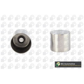 Spletna trgovina z BGA Drocnik ventila HL7371