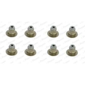 PAYEN Seal Set, valve stem HR5120