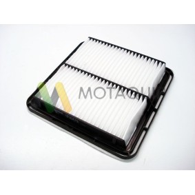 Купить MOTAQUIP Воздушный фильтр LVFA1479