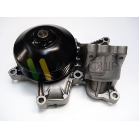 MOTAQUIP Water pump LVWP996