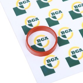 BGA Junta, colector de admisión MG2583