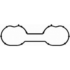 BGA Junta, colector de admisión MG3544