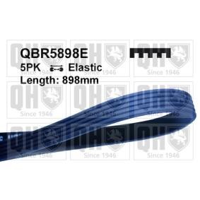 QUINTON HAZELL Moniurahihna QBR5898E