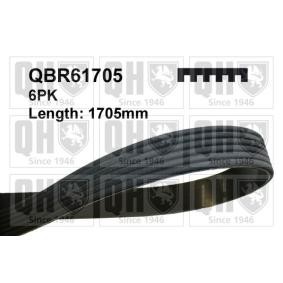 QUINTON HAZELL Keilrippenriemen QBR61705