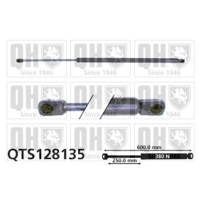 QUINTON HAZELL Kaasujousi, tavaratila QTS128135