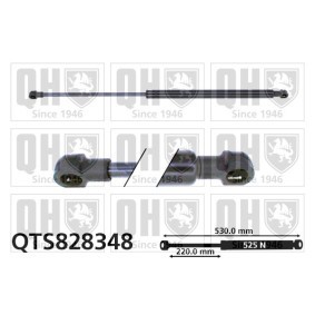 QUINTON HAZELL Bagklapsdæmper QTS828348