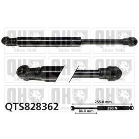 QUINTON HAZELL Tailgate strut QTS828362