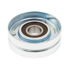 MASTER-SPORT Polea tensora, correa poli V R31058-PCS-MS