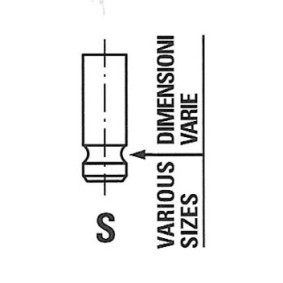 FRECCIA Inlet valve R6811/SNT
