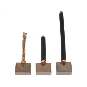 AS-PL Koolborstel, startmotor SB1003