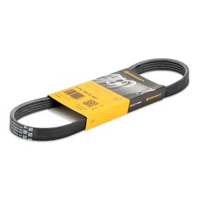CONTITECH Serpentine belt 5PK690 ELAST