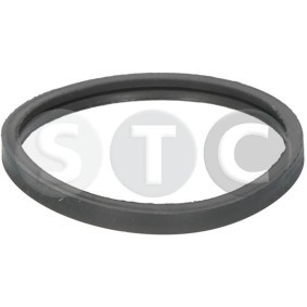 STC Packning, termostat T402361