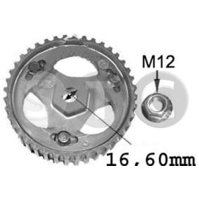 STC Pignon, pompe d'injection T405623