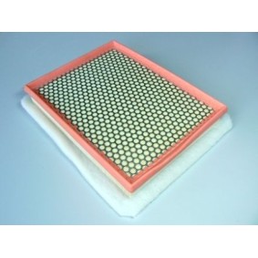 MOTAQUIP Luftfilter VFA1113