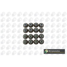 BGA Juego de juntas, vástago de válvula VK2372