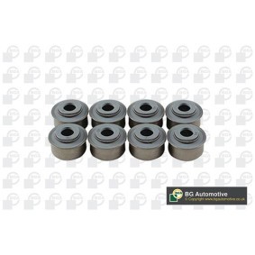 BGA Jeu de joints d'étanchéité, tige de soupape VK6371