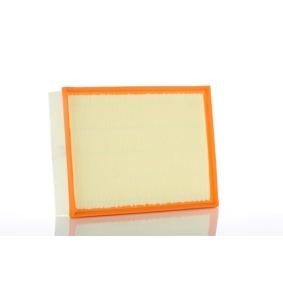 PZL Filters Filtro de aire WA50850