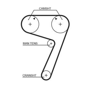 Spletna trgovina z GATES Zobati jermen 5111