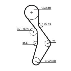 GATES Correa dentada 5604XS