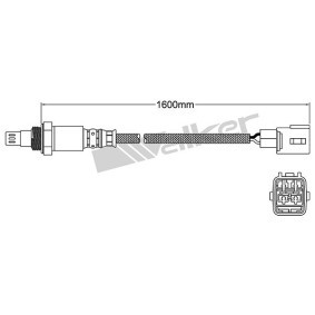 VEGAZ Lambdasonde ULS-440