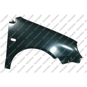 VG0213013 PRASCO Fenders for VW SCIROCCO