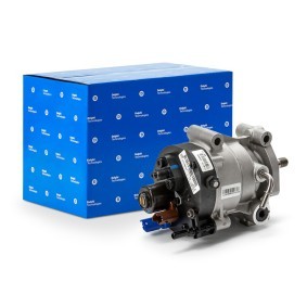 DELPHI Pompe à injection 28331942